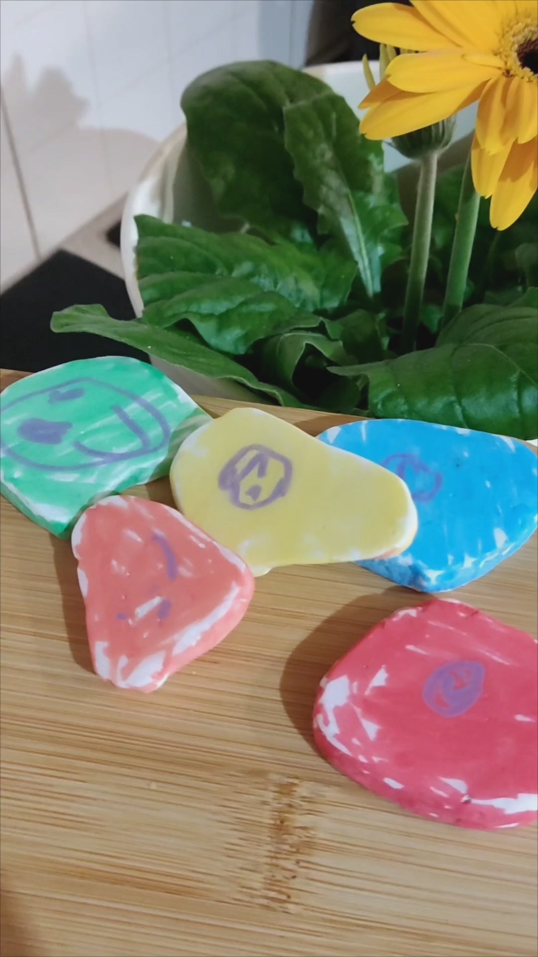 🪨 Craft Kit Ζωγραφική σε Πέτρες (5+ ετών)